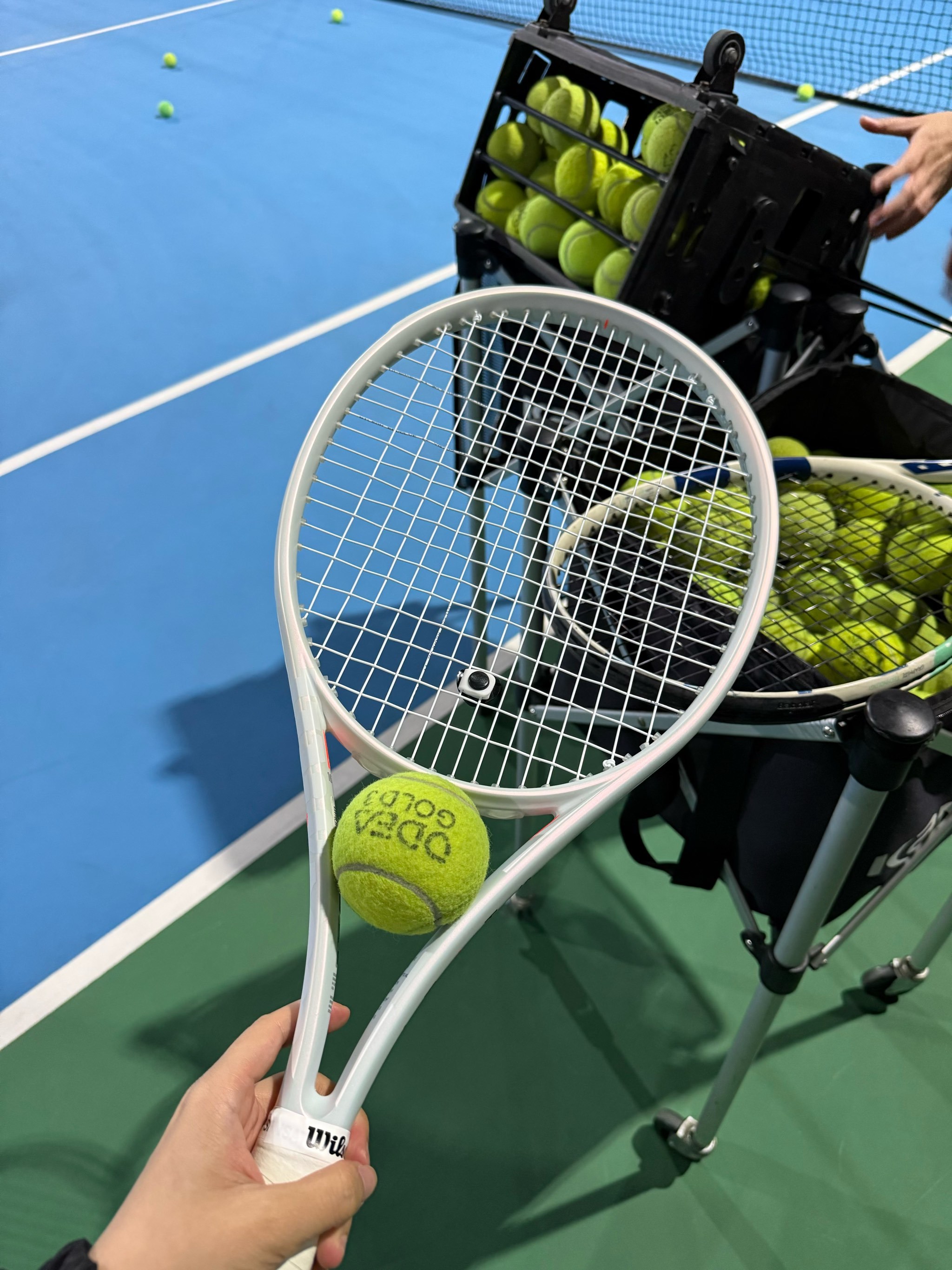 勇于承认错 勇于承认错