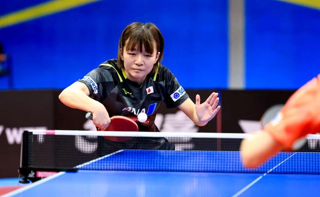 它们不仅不 它们不仅不