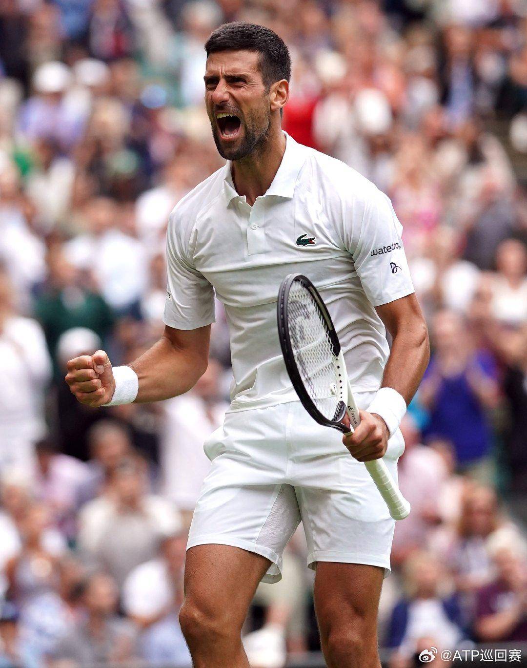 的个人表现 的个人表现